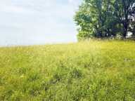 Vente Terrain 3 770 m&sup2; — photo 2