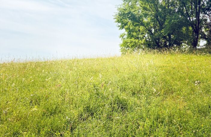 Vente Terrain 3 770 m&sup2; — photo 2