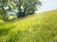 Vente Terrain 3 770 m&sup2; — photo 3