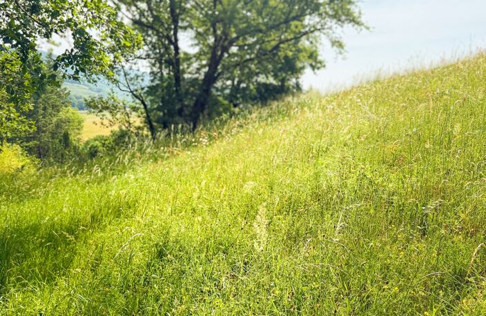 Vente Terrain 3 770 m&sup2; — photo 3