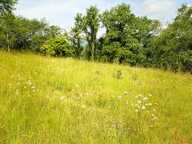 Vente Terrain 3 770 m&sup2; — photo 4