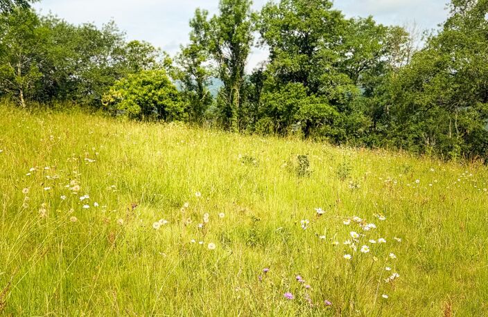 Vente Terrain 3 770 m&sup2; — photo 4