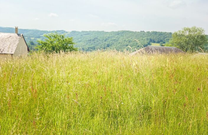 Vente Terrain 3 770 m&sup2; — photo 5