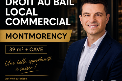 Commerce  66000 €