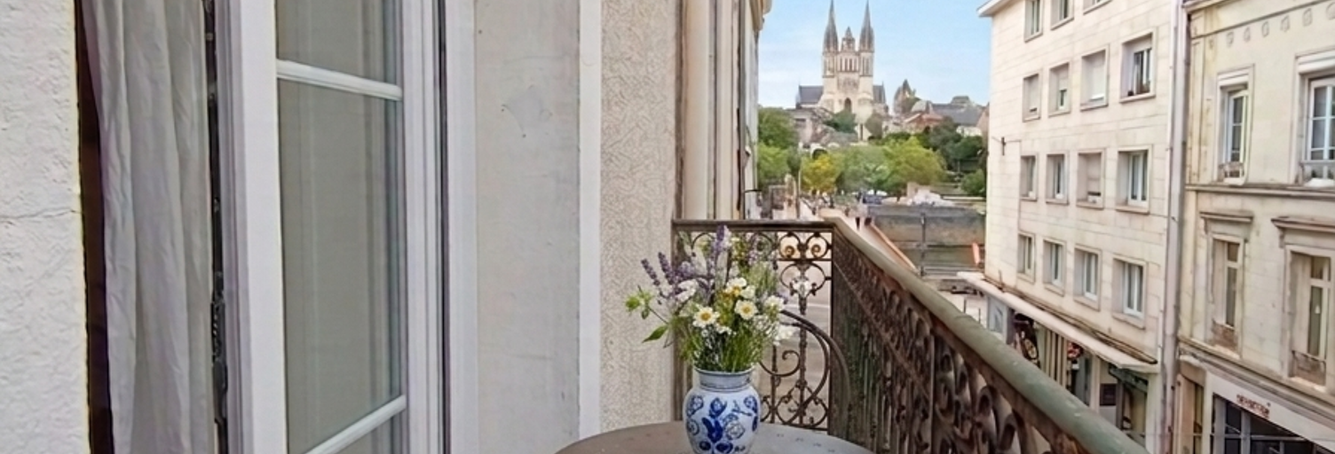 Appartement 1 Pièce 28 m² à vendre à Angers (49100)