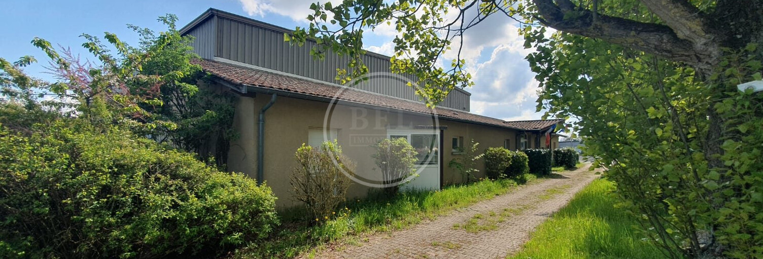 Commerce  3100 m² à vendre à Saint-Clément-les-Places (69930)