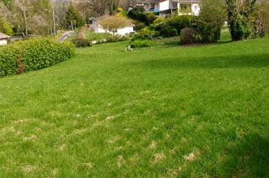 Terrain  36000 €