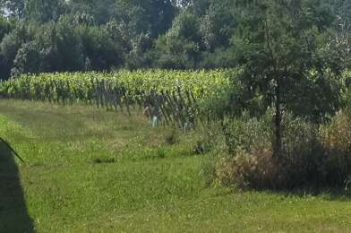 Terrain  95000 €