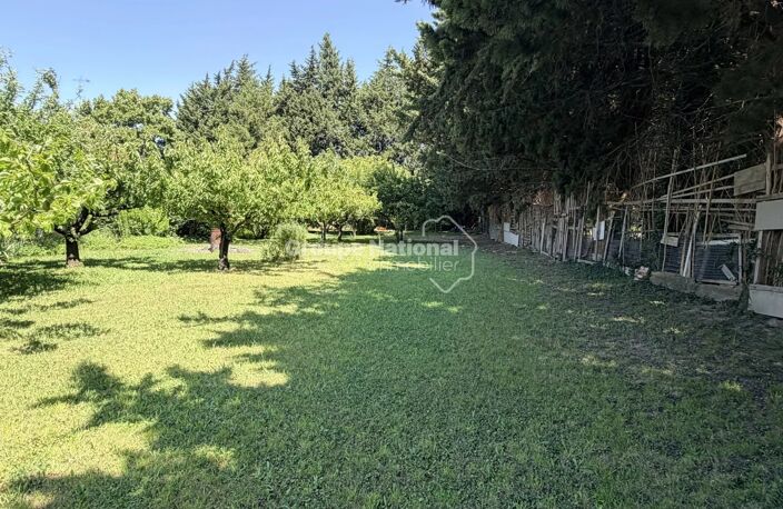 COURTHEZON - MAS DE 225 M² EN CAMPAGNE — photo 3