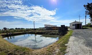 Local industriel 6 Pièces 75 m² à vendre à Dolus-d'Oléron (17550)
