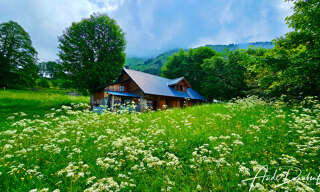 Photo N° 2