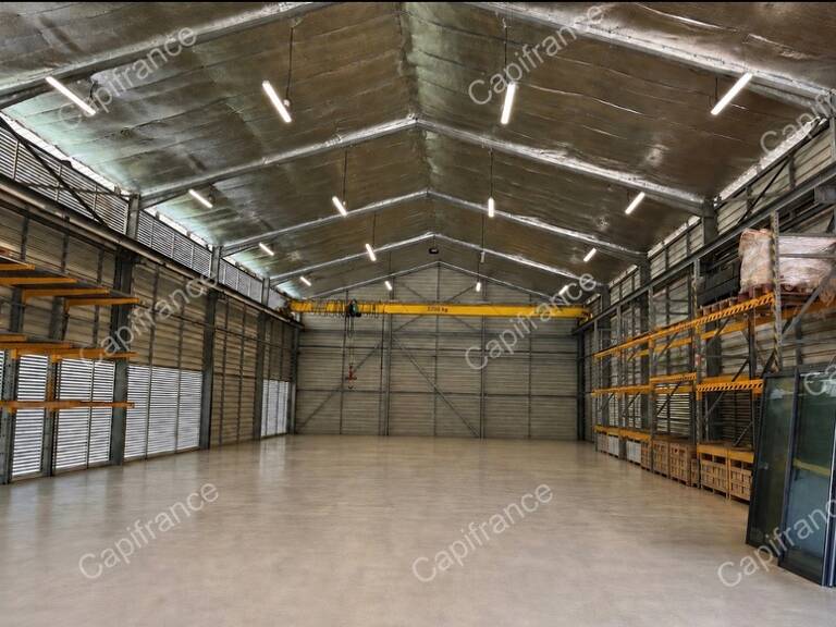 Magnifique HANGAR  de 500 m2 plus annexes avec parking béton à SOULA — photo 1