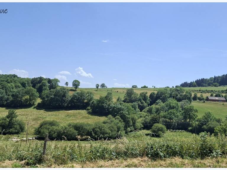 Maison de maître rénovée avec dépendances et gîte – Un bien rare au cœur de la campagne LE VERNET SAINTE MARGUERITE (63) — photo 1
