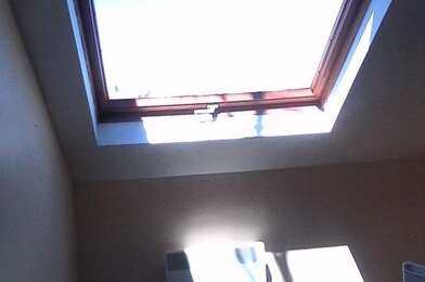 Appartement 1 pièces 300 €