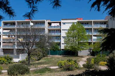 Appartement 3 pièces 590 €