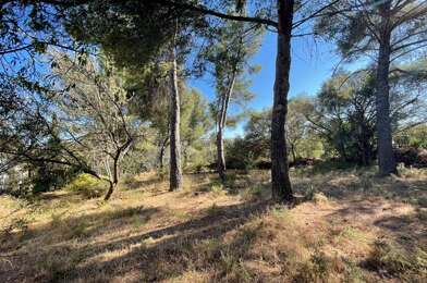 Terrain  295000 €