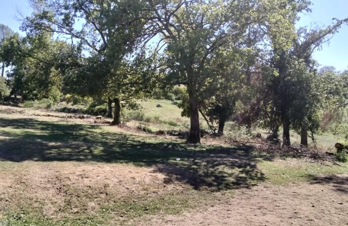 Terrain constructible aux portes de Brive — photo 4