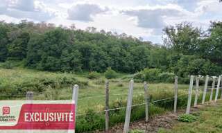 Terrain  3304 m² à vendre à Brive-la-Gaillarde (19100)