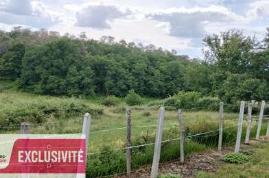 Terrain  175000 €