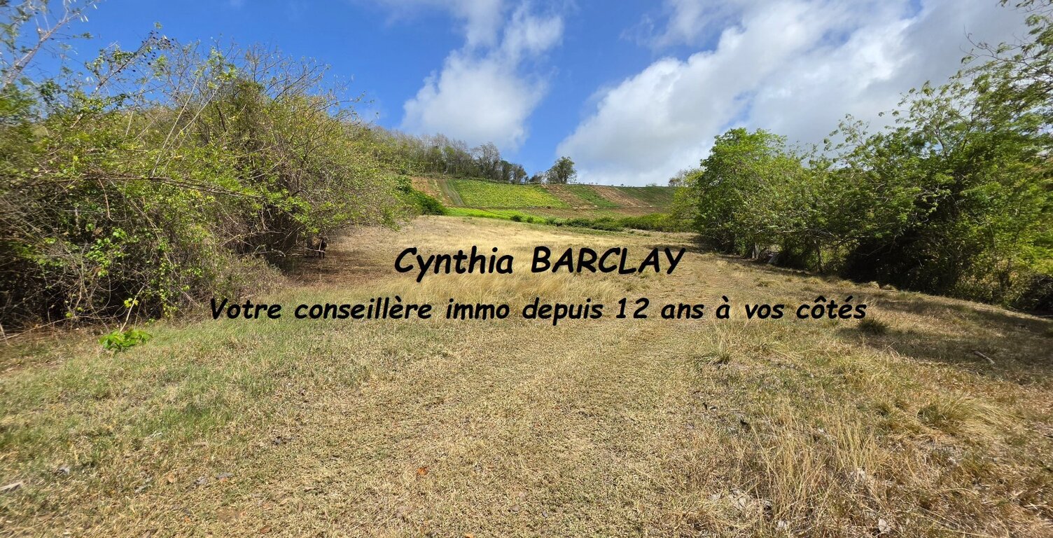 Terrain — photo 1