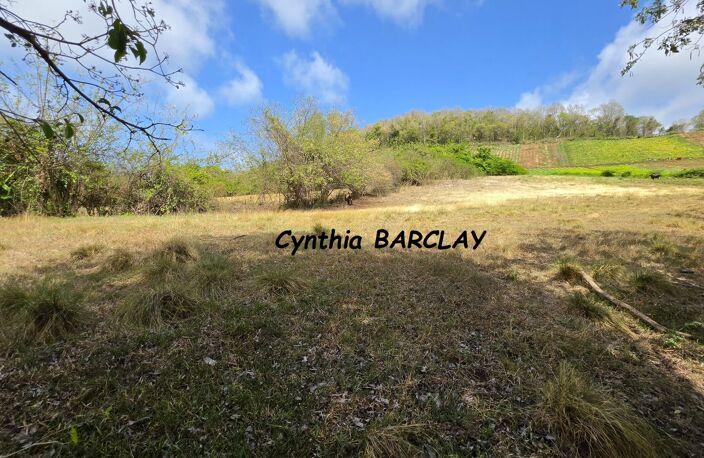 Terrain — photo 2