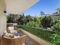 CANNES - BASSE CALIFORNIE — photo 4
