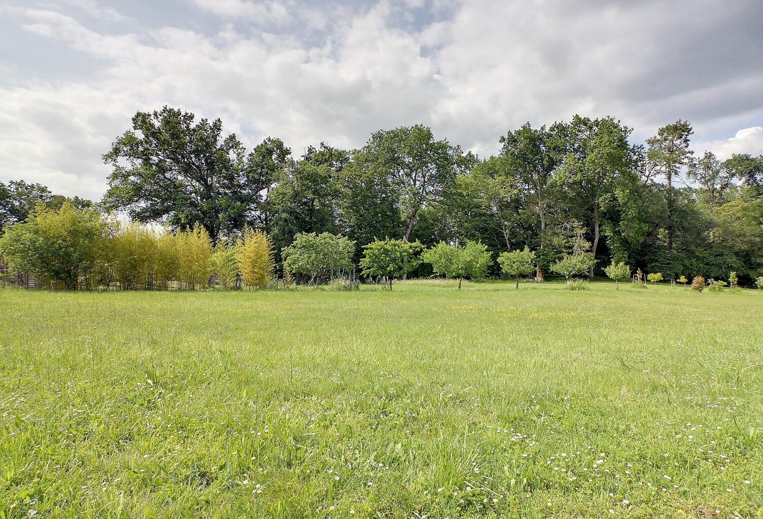 Terrain dans environnement calme et boisé — photo 1