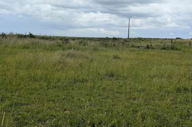 Terrain  53000 €