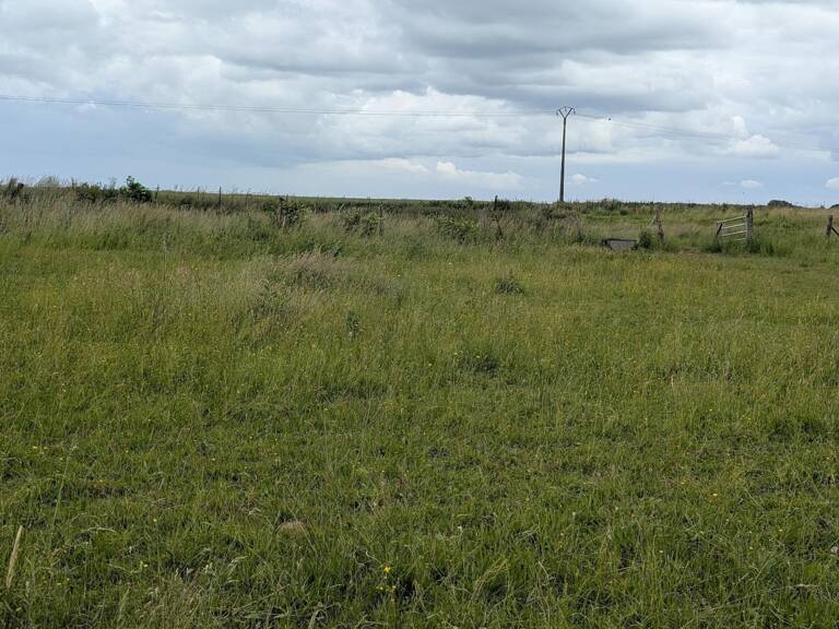 Le Champ des Possibles  Terrain constructible 962 m² libre de constructeur à Ansauvillers — photo 1
