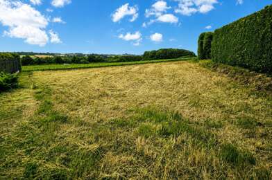 Terrain  40000 €