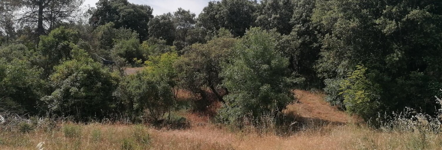 Terrain  1893 m² à vendre à Camps-la-Source (83170)