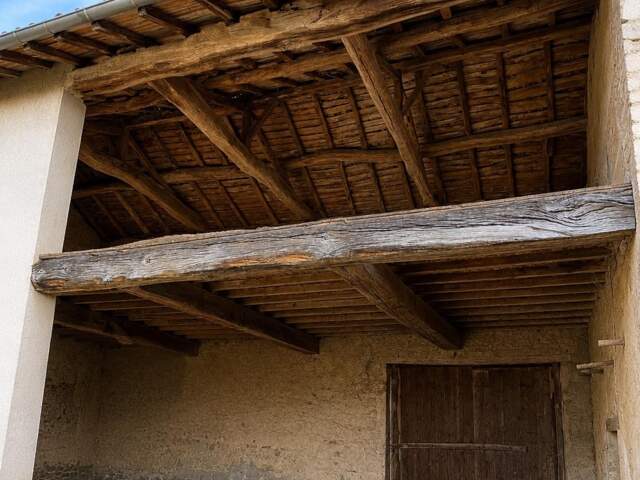 Corps de ferme à fort potentiel  Chaleins (01480) — photo du bien