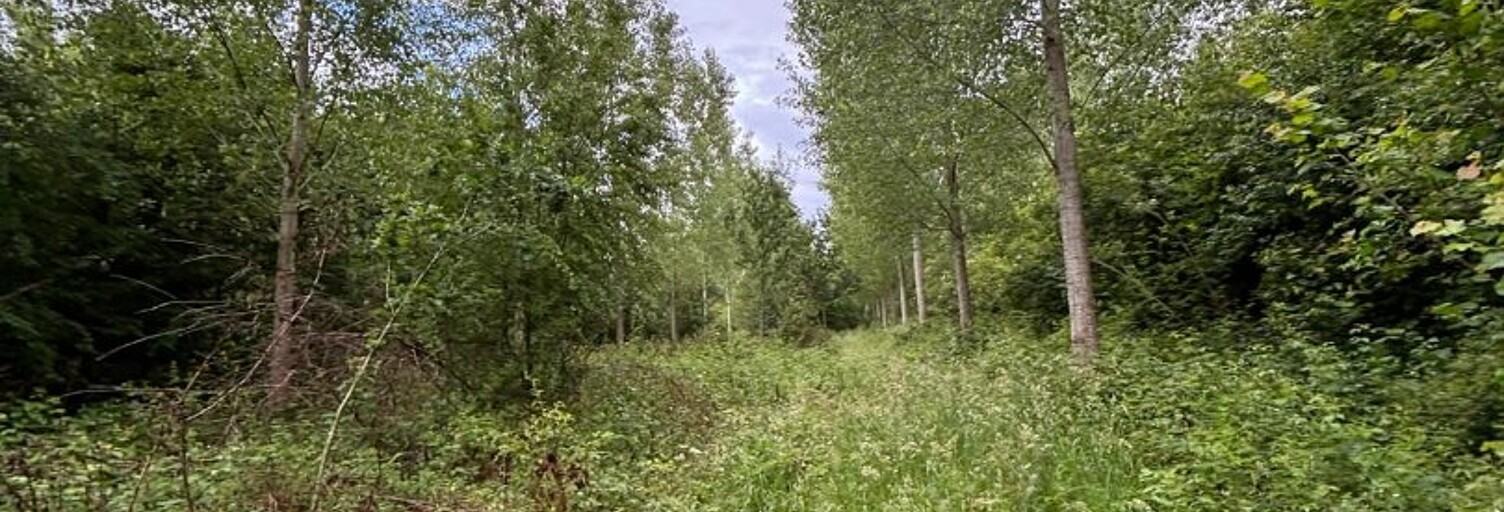 Terrain  72000 m² à vendre à Valenciennes (59300)