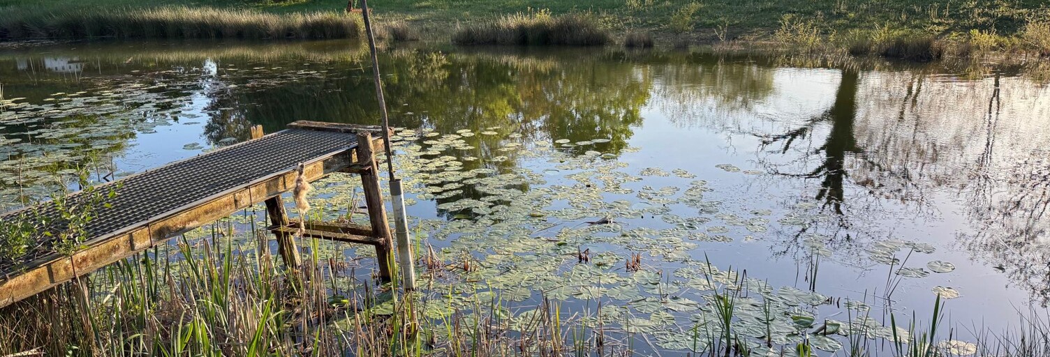 Terrain  5250 m² à vendre à Erdre-en-Anjou (49220)