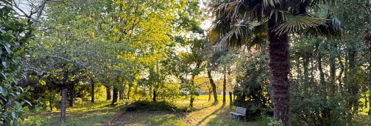 Terrain  2000 m² à vendre à Le Lion-d'Angers (49220)