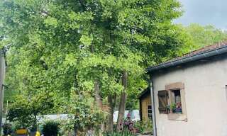 Maison 5 Pièces 275 m² à vendre à Dieuze (57260)