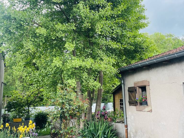 Vente Maison de ville 5 pièces — photo 1