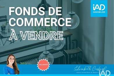 Commerce  66000 €