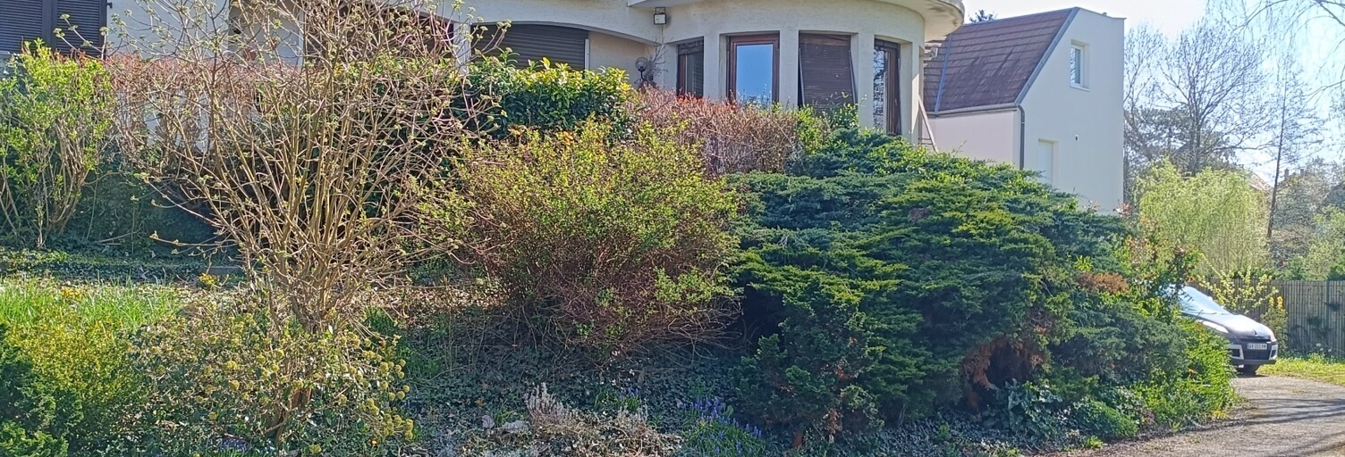 Maison 8 Pièces 215 m² à vendre à Eckbolsheim (67201)