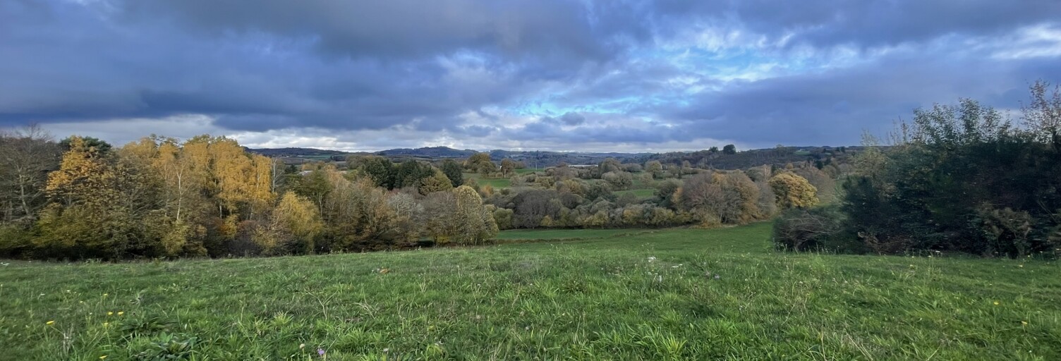 Terrain  61086 m² à vendre à Neuvic-Entier (87130)