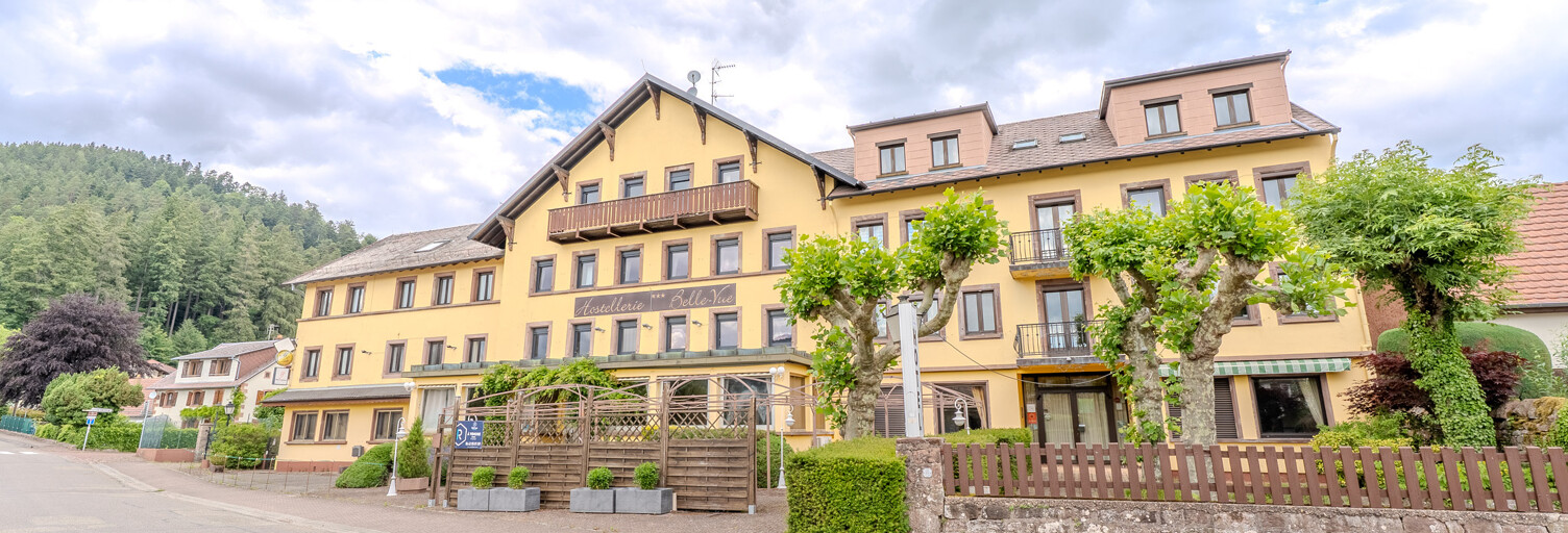 Maison 2086 m² en viager Wangenbourg-Engenthal (67710)