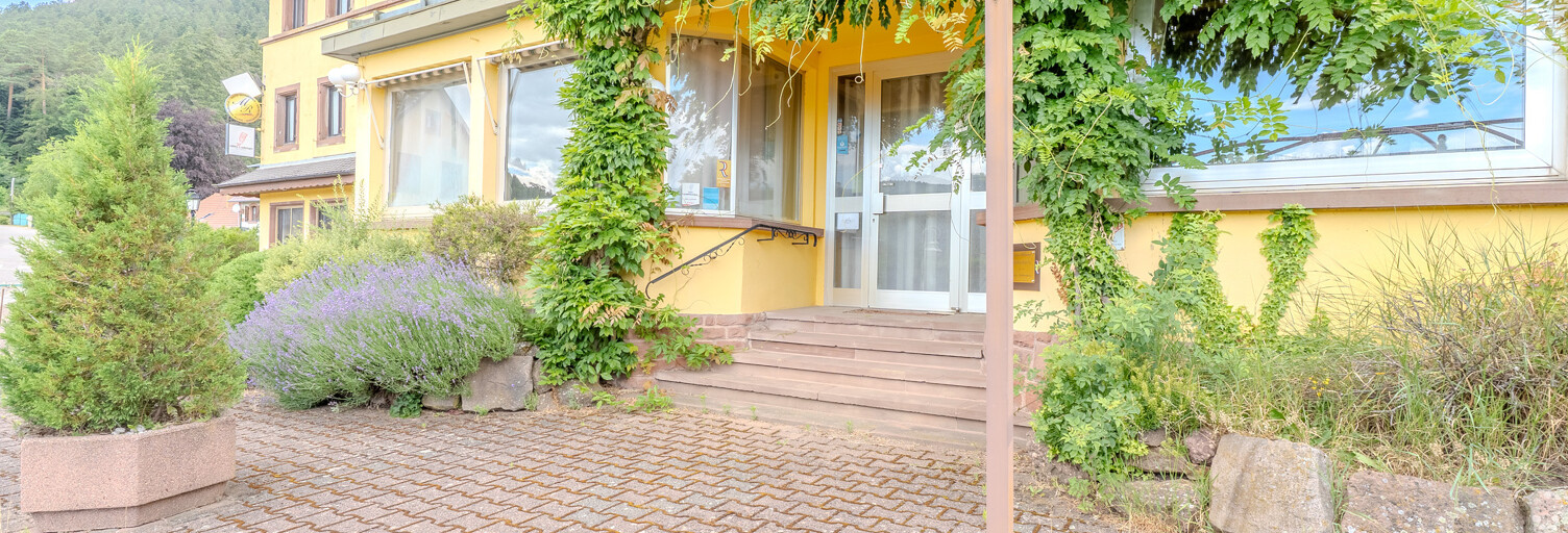Photo N° 2