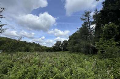 Terrain  25000 €