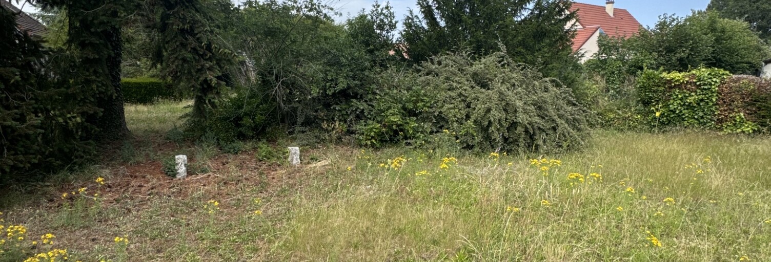 Terrain  680 m² à vendre à Darvoy (45150)