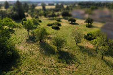 Terrain  820000 €