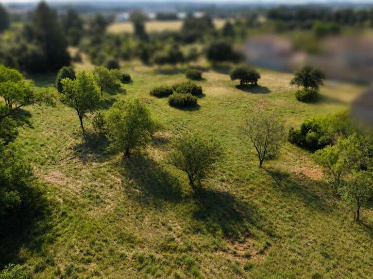 Terrain À Vendre, Sorgues, Constructible, 5462 m² — photo 1