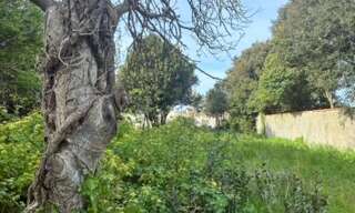 Terrain  680 m² à vendre à Loix (17111)