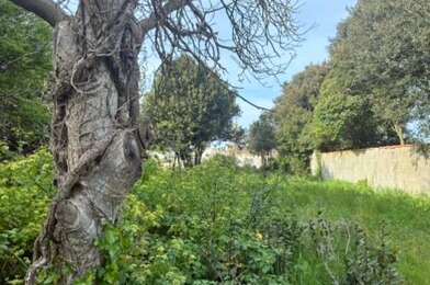 Terrain  540600 €