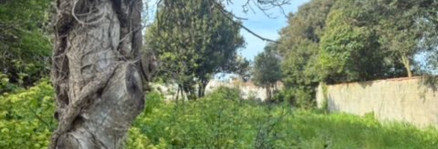 Terrain  680 m² à vendre à Loix (17111)