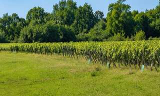 Terrain  605 m² à vendre à Saint-André-de-Cubzac (33240)